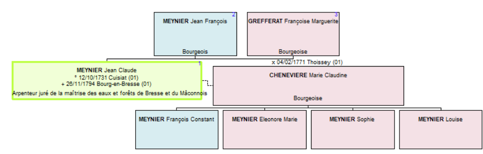 Arbre généalogique