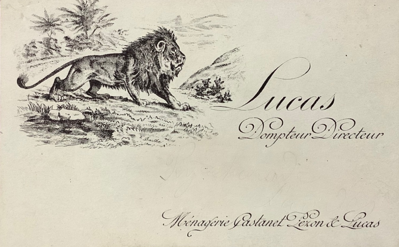  Extrait d'une vente aux enchères, Rare carton publicitaire 11.5 x 7.5 LUCAS Dompteur, vendu le 26 février 2025, Delcampe