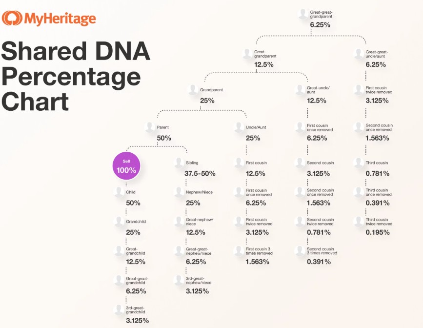 quantité ADN partagé famille centimorgans