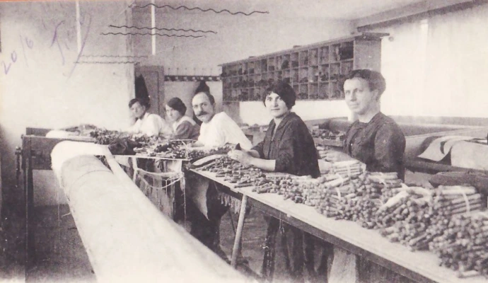 identifier ancêtre commun ADN