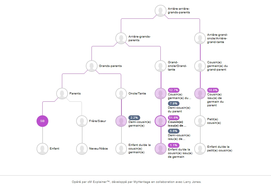 arbre généalogique MyHeritage